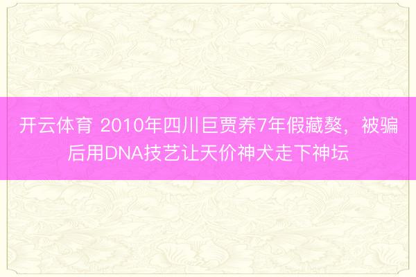 开云体育 2010年四川巨贾养7年假藏獒，被骗后用DNA技艺让天价神犬走下神坛