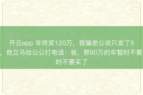开云app 年终奖120万，我骗老公说只发了5000，他立马给公公打电话：爸，那80万的车暂时不要买了