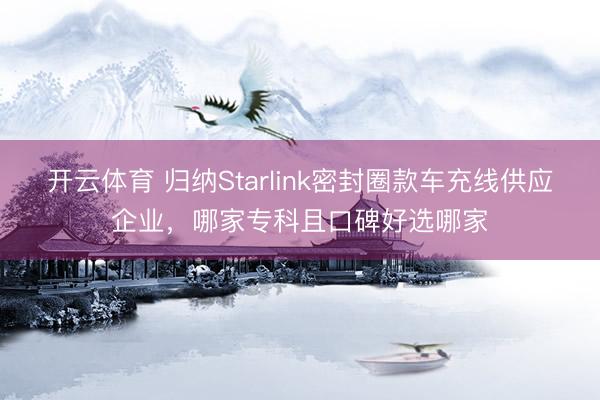 开云体育 归纳Starlink密封圈款车充线供应企业，哪家专科且口碑好选哪家