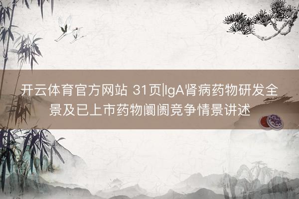 开云体育官方网站 31页|IgA肾病药物研发全景及已上市药物阛阓竞争情景讲述