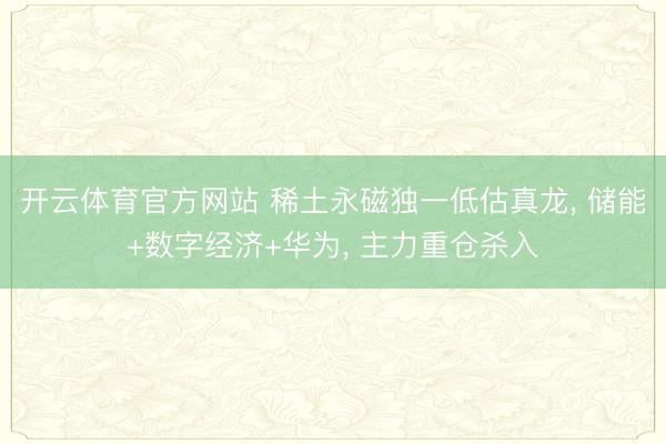 开云体育官方网站 稀土永磁独一低估真龙, 储能+数字经济+华为, 主力重仓杀入