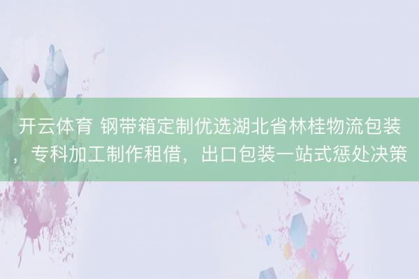 开云体育 钢带箱定制优选湖北省林桂物流包装，专科加工制作租借，出口包装一站式惩处决策