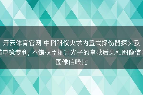 开云体育官网 中科科仪央求内置式探伤器探头及扫描电镜专利, 不错权臣擢升光子的拿获后果和图像信噪比