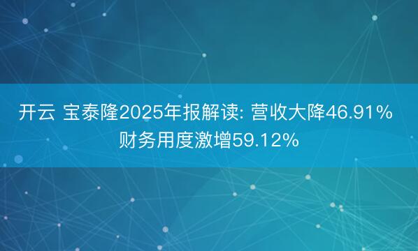 开云 宝泰隆2025年报解读: 营收大降46.91% 财务用度激增59.12%