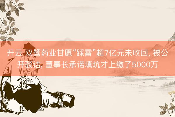 开云 双鹭药业甘愿“踩雷”超7亿元未收回， 被公开驳诘， 董事长承诺填坑才上缴了5000万