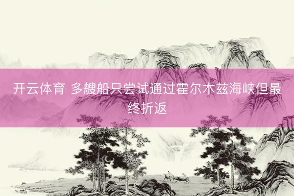 开云体育 多艘船只尝试通过霍尔木兹海峡但最终折返