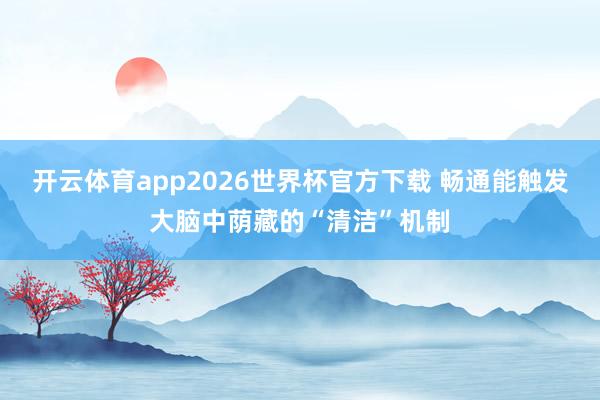 开云体育app2026世界杯官方下载 畅通能触发大脑中荫藏的“清洁”机制