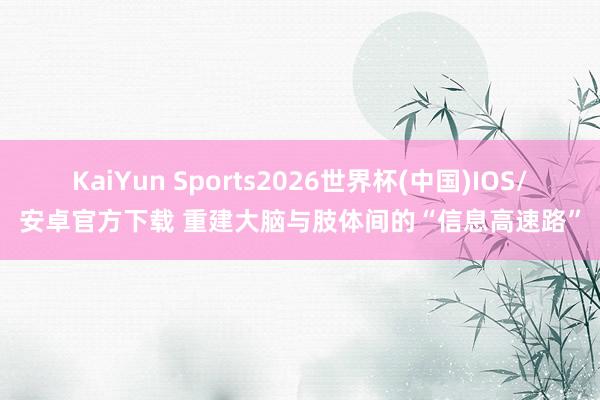 KaiYun Sports2026世界杯(中国)IOS/安卓