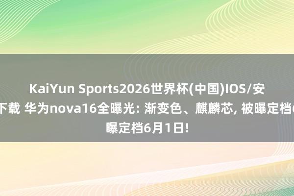 KaiYun Sports2026世界杯(中国)IOS/安卓官方下载 华为nova16全曝光: 渐变色、麒麟芯, 被曝定档6月1日!