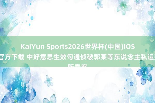 KaiYun Sports2026世界杯(中国)IOS/安卓官方下载 中好意思生效勾通侦破郭某等东说念主私运贩毒案