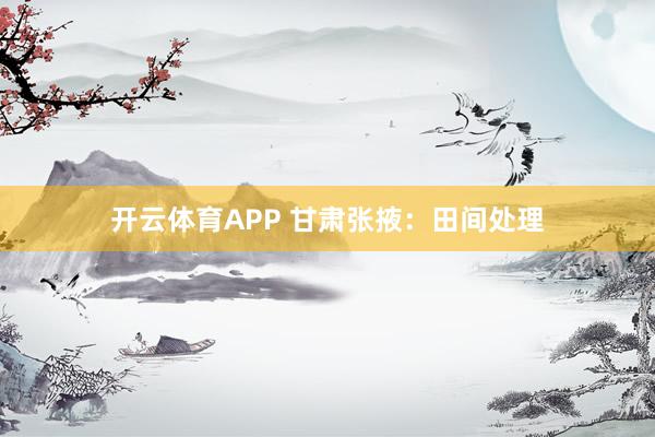 开云体育APP 甘肃张掖:田间处理