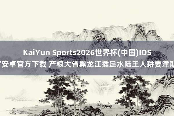 KaiYun Sports2026世界杯(中国)IOS/安卓官方下载 产粮大省黑龙江插足水陆王人耕要津期