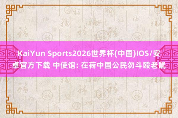 KaiYun Sports2026世界杯(中国)IOS/安卓官方下载 中使馆: 在荷中国公民勿斗殴老鼠