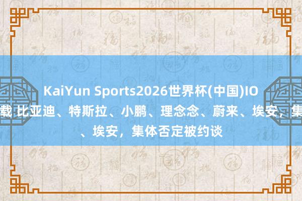 KaiYun Sports2026世界杯(中国)IOS/安卓官方下载 比亚迪、特斯拉、小鹏、理念念、蔚来、埃安,集体否定被约谈