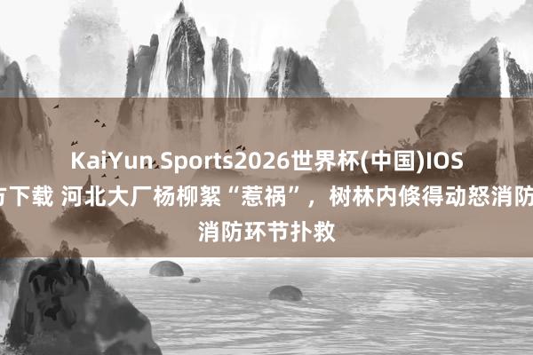KaiYun Sports2026世界杯(中国)IOS/安卓官方下载 河北大厂杨柳絮“惹祸”，树林内倏得动怒消防环节扑救