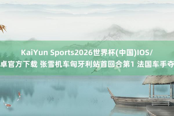KaiYun Sports2026世界杯(中国)IOS/安卓官方下载 张雪机车匈牙利站首回合第1 法国车手夺冠