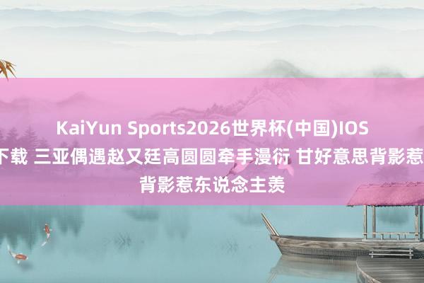 KaiYun Sports2026世界杯(中国)IOS/安卓官方下载 三亚偶遇赵又廷高圆圆牵手漫衍 甘好意思背影惹东说念主羡