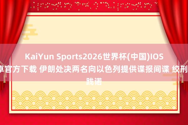 KaiYun Sports2026世界杯(中国)IOS/安卓官方下载 伊朗处决两名向以色列提供谍报间谍 绞刑践诺