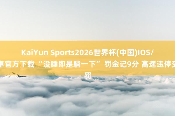 KaiYun Sports2026世界杯(中国)IOS/安卓官方下载 “没睡即是躺一下” 罚金记9分 高速违停受罚