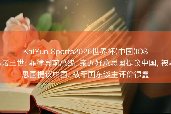 KaiYun Sports2026世界杯(中国)IOS/安卓官方下载 阿基诺三世: 菲律宾前总统， 亲近好意思国提议中国， 被菲国东谈主评价很蠢