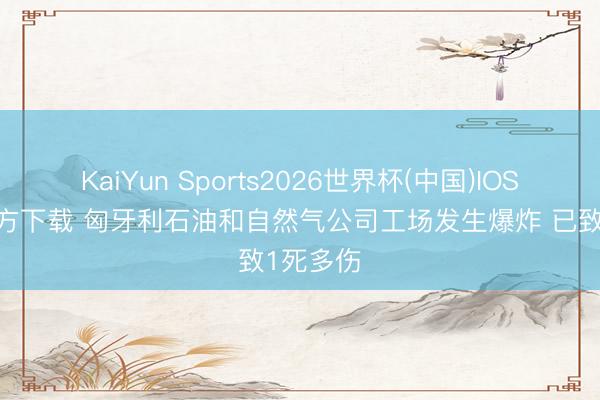 KaiYun Sports2026世界杯(中国)IOS/安卓官方下载 匈牙利石油和自然气公司工场发生爆炸 已致1死多伤