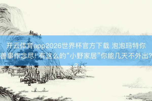 开云体育app2026世界杯官方下载 泡泡玛特你善事作念尽! 有这么的“小野家居”你能几天不外出?