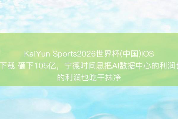 KaiYun Sports2026世界杯(中国)IOS/安卓官方下载 砸下105亿,宁德时间思把AI数据中心的利润也吃干抹净