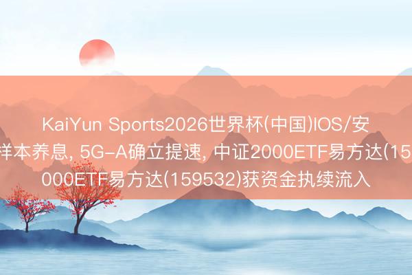 KaiYun Sports2026世界杯(中国)IOS/安卓官方下载 宽基指数样本养息， 5G-A确立提速， 中证2000ETF易方达(159532)获资金执续流入