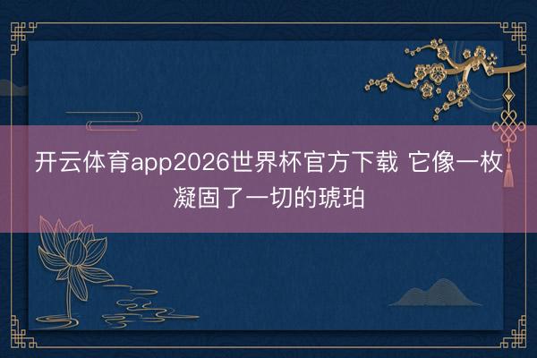 开云体育app2026世界杯官方下载 它像一枚凝固了一切的琥珀