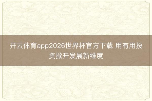 开云体育app2026世界杯官方下载 用有用投资掀开发展新维度