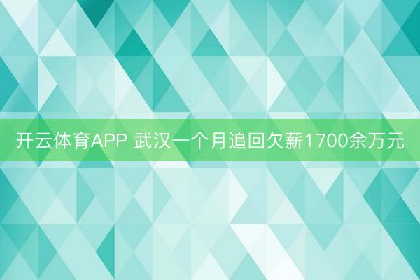 开云体育APP 武汉一个月追回欠薪1700余万元