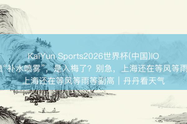 KaiYun Sports2026世界杯(中国)IOS/安卓官方下载 猛喷“补水喷雾”,是入梅了?别急,上海还在等风等雨等副高|丹丹看天气
