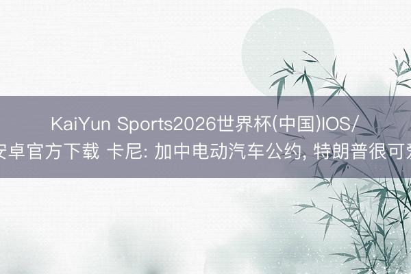 KaiYun Sports2026世界杯(中国)IOS/安卓官方下载 卡尼: 加中电动汽车公约, 特朗普很可爱