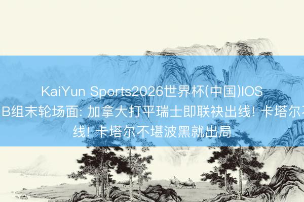 KaiYun Sports2026世界杯(中国)IOS/安卓官方下载 B组末轮场面: 加拿大打平瑞士即联袂出线! 卡塔尔不堪波黑就出局